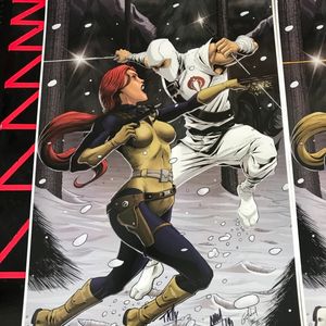 Broken Icon Comics & Roma Collectibles Original Prints
