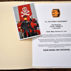 G.I. JOE THREAT ASSESSMENT: Red Shadows
