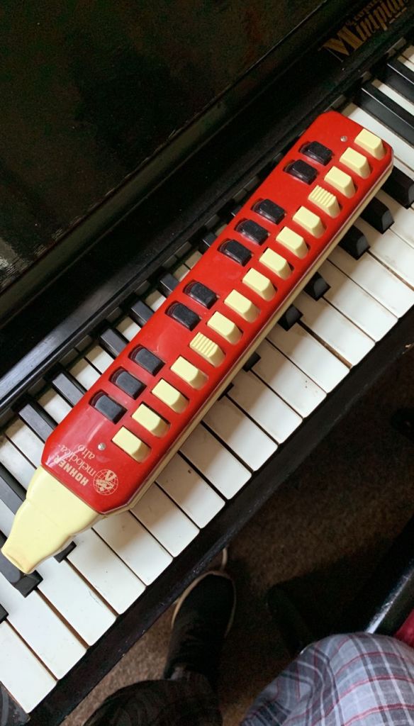 Hohner Melodica Alto