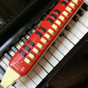 Hohner Melodica-Alto