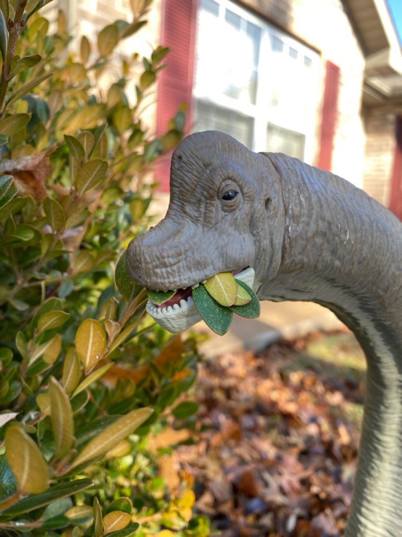 Brachiosaurus - Image 1