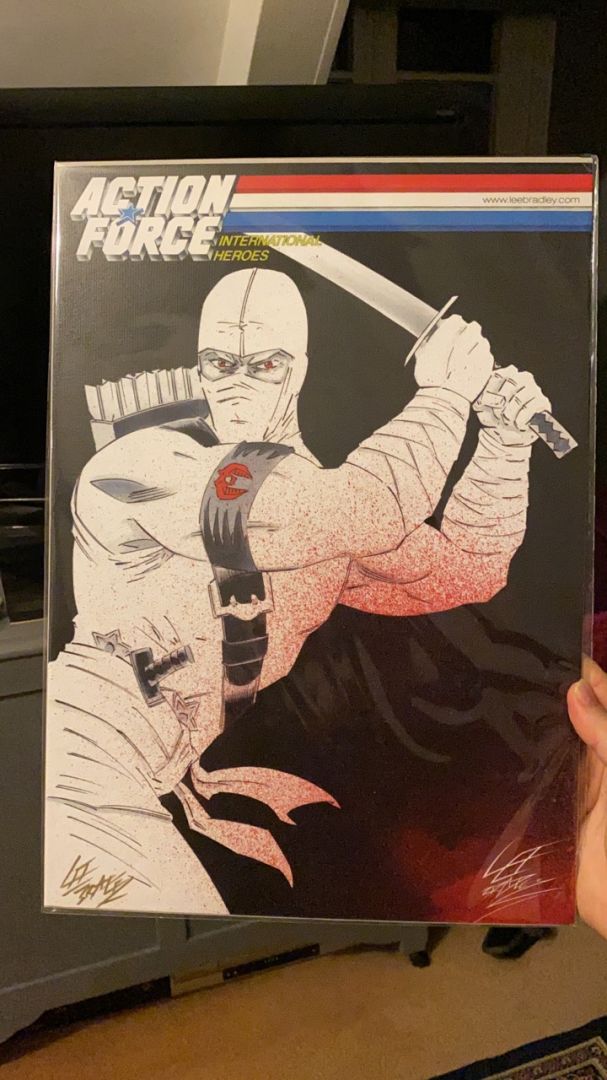 Storm Shadow Art By Lee Bradley - Image 1