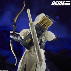 Arctic Mission Storm Shadow