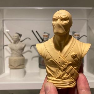 Resin Palisades Bust