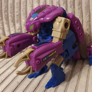 Squeezeplay with Lokos