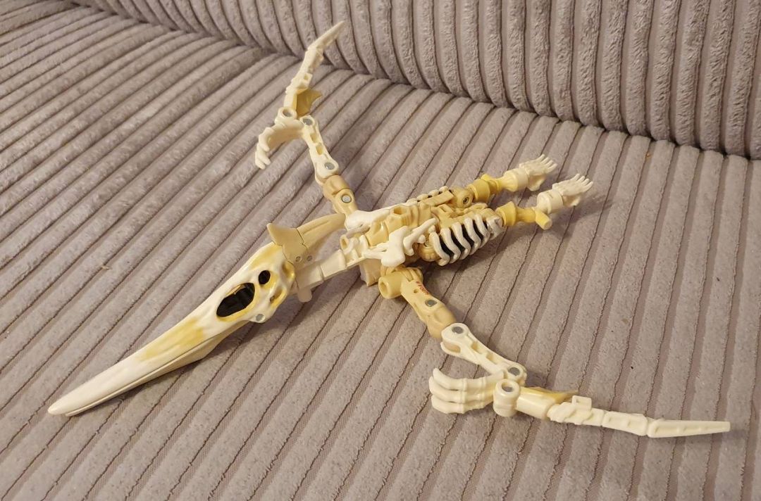 Wingfinger - Image 2