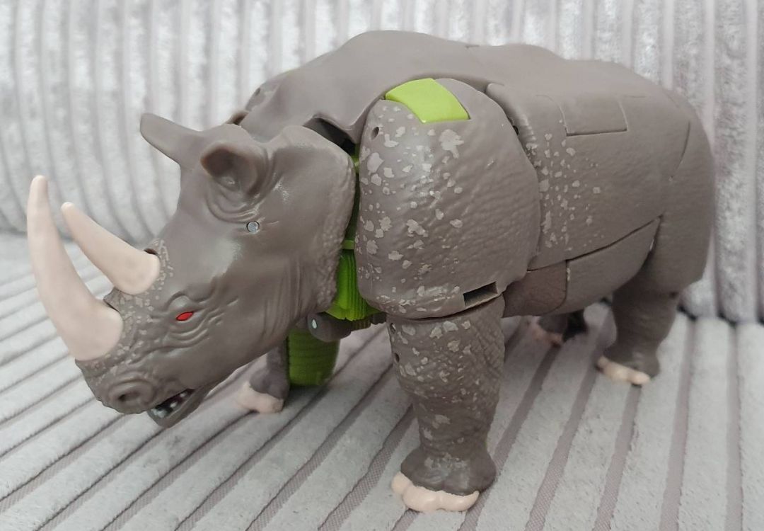 Rhinox - Image 1