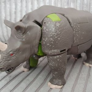 Rhinox