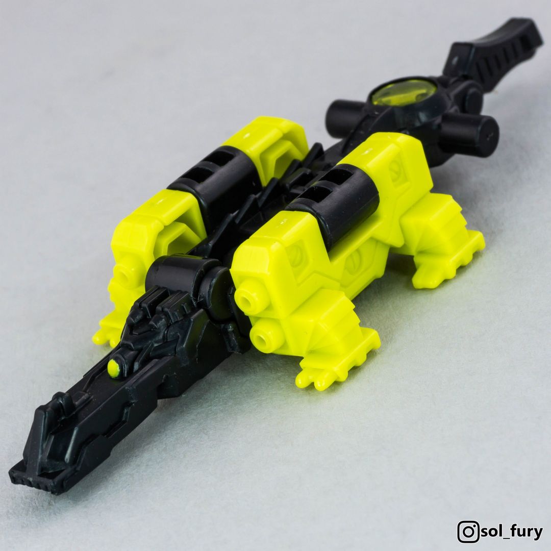 Krok with Gatoraider - Image 5