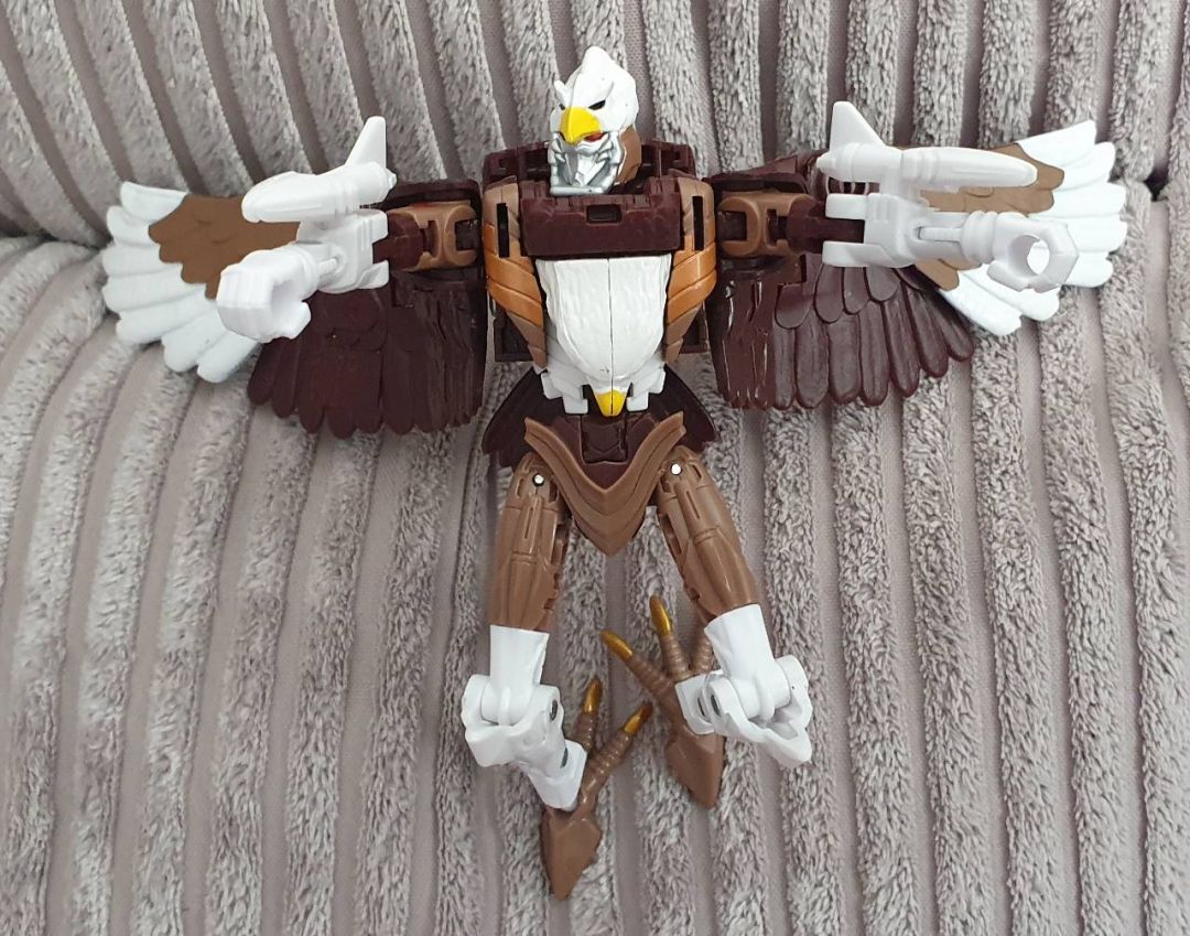 Beast Wars Skywarp - Image 3