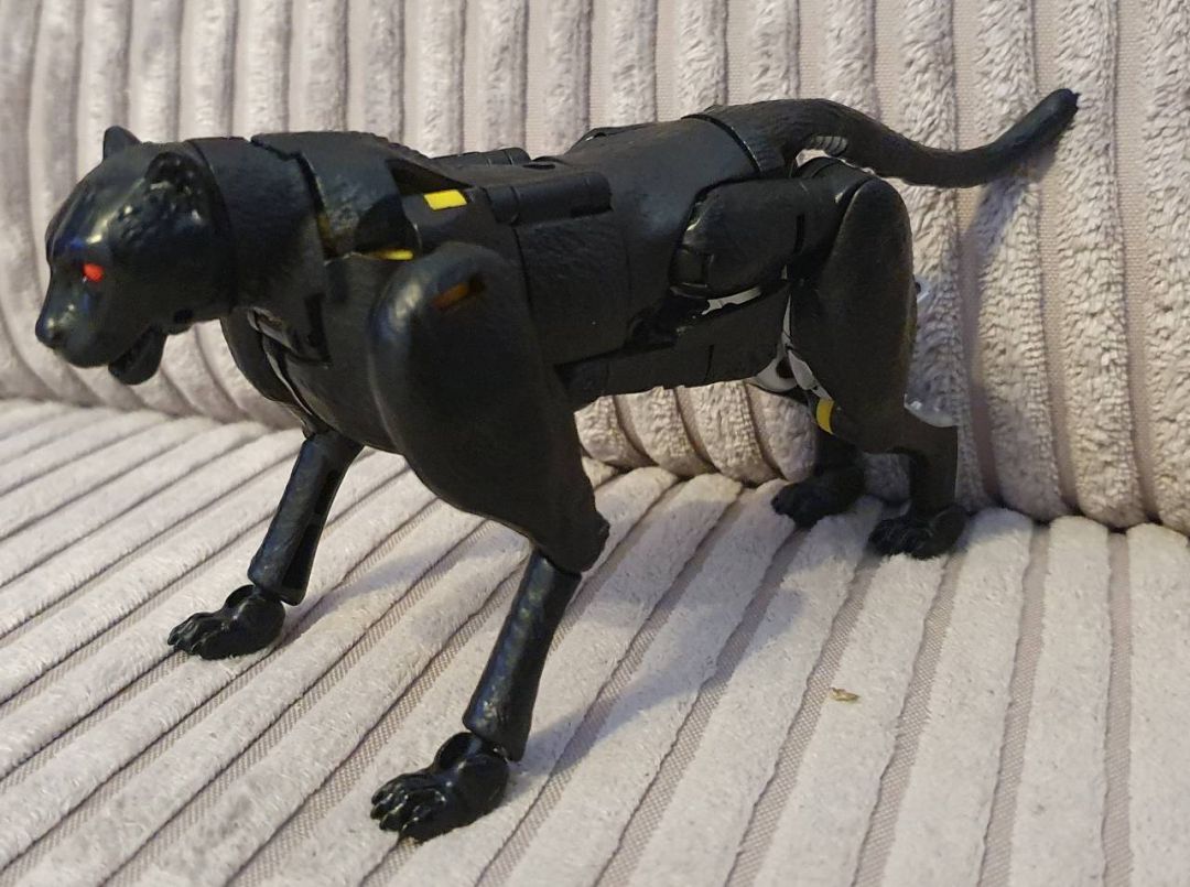 Shadow Panther - Image 1