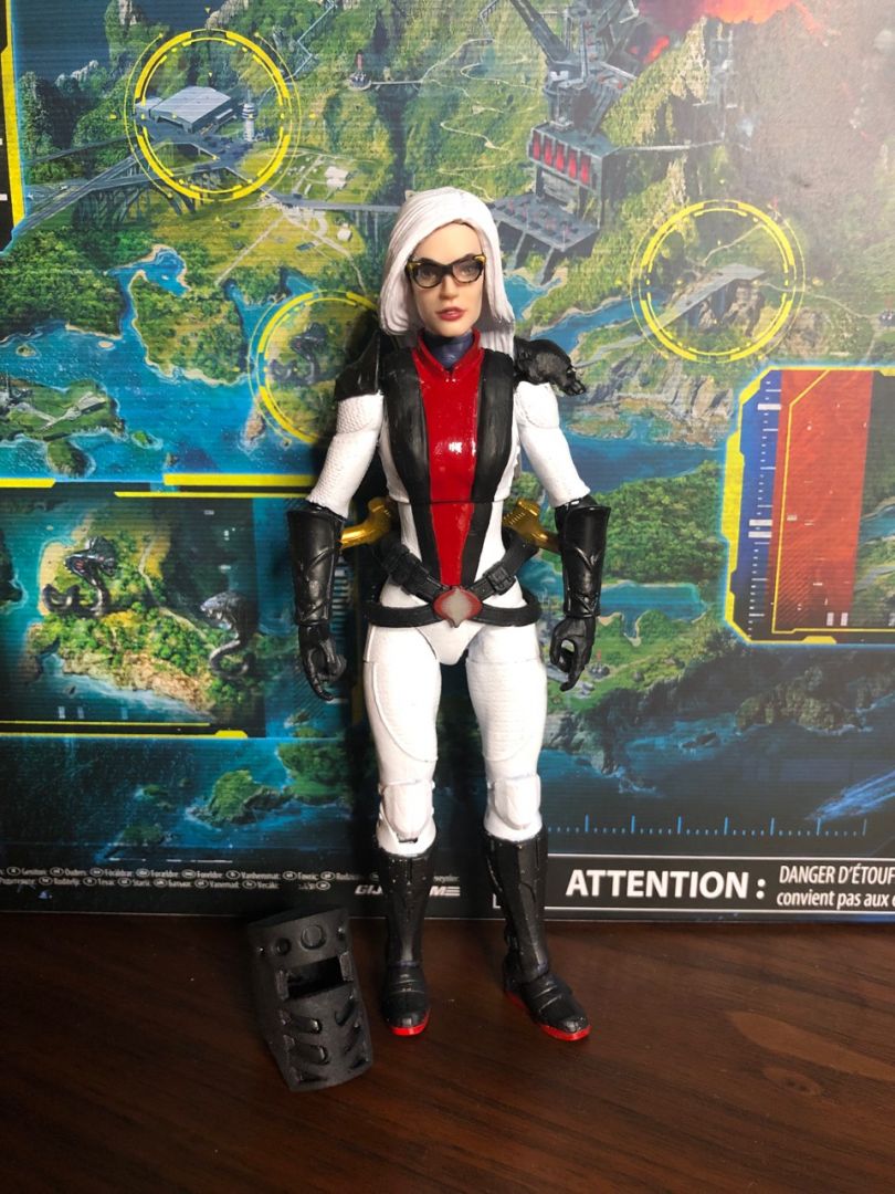 Baroness Ironblood Classified Custom - Image 8