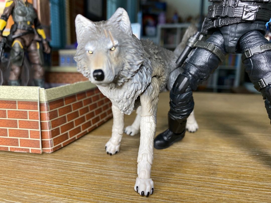 Snake Eyes & Timber - Image 2