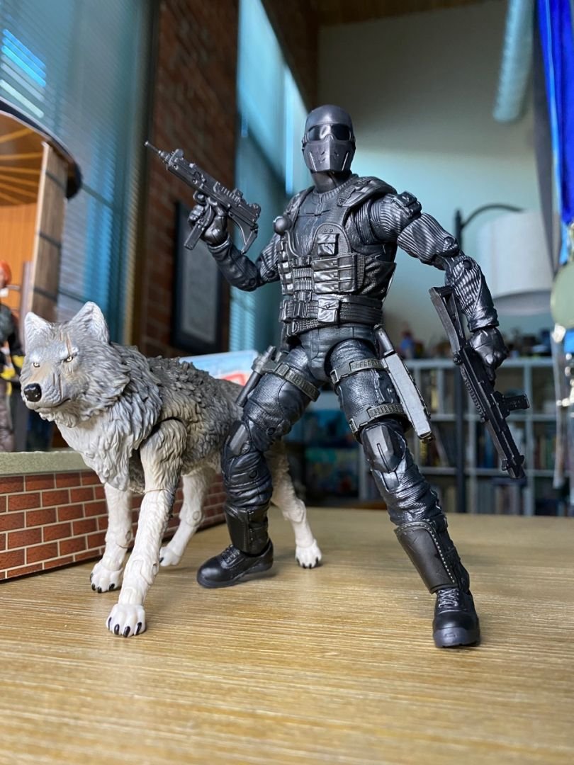 Snake Eyes & Timber - Image 1