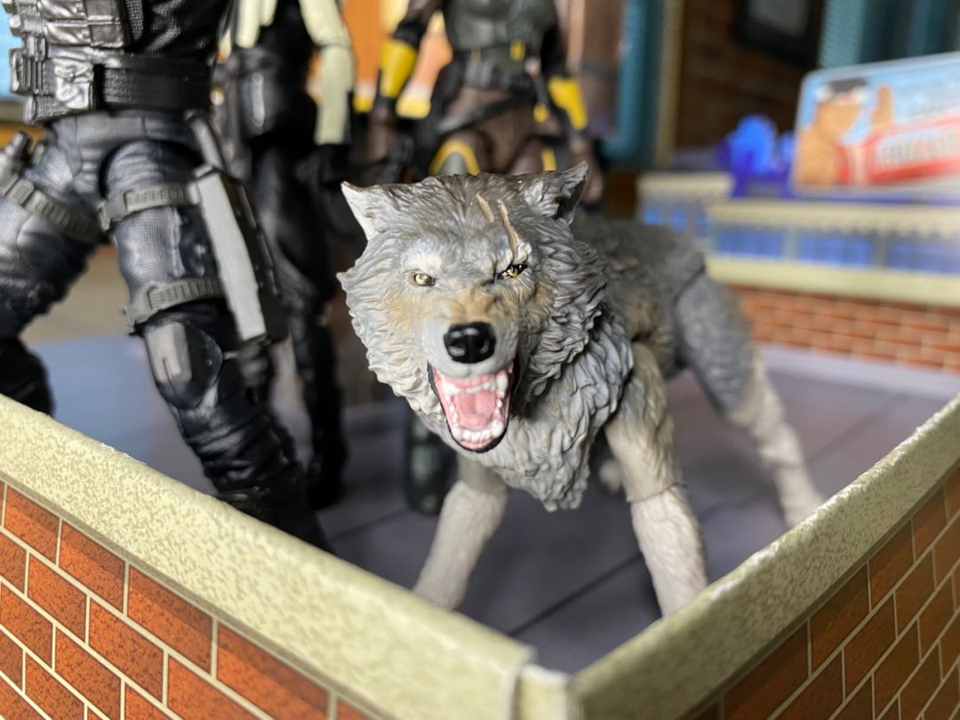Snake Eyes & Timber - Image 5