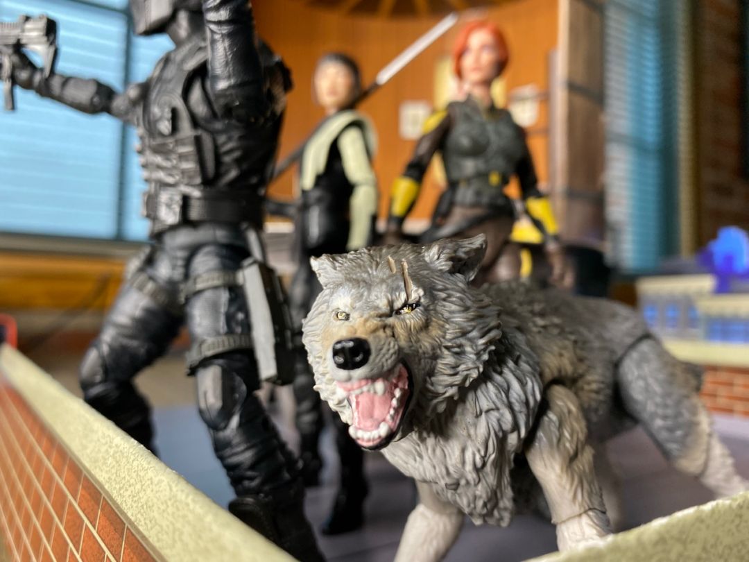 Snake Eyes & Timber - Image 9