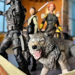 Snake Eyes & Timber