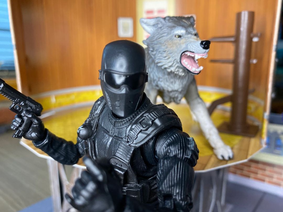 Snake Eyes & Timber - Image 11