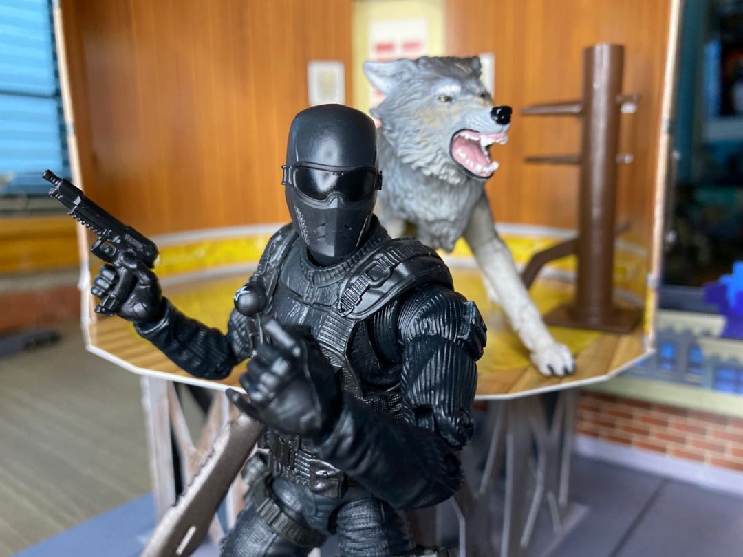 Snake Eyes & Timber - Image 12