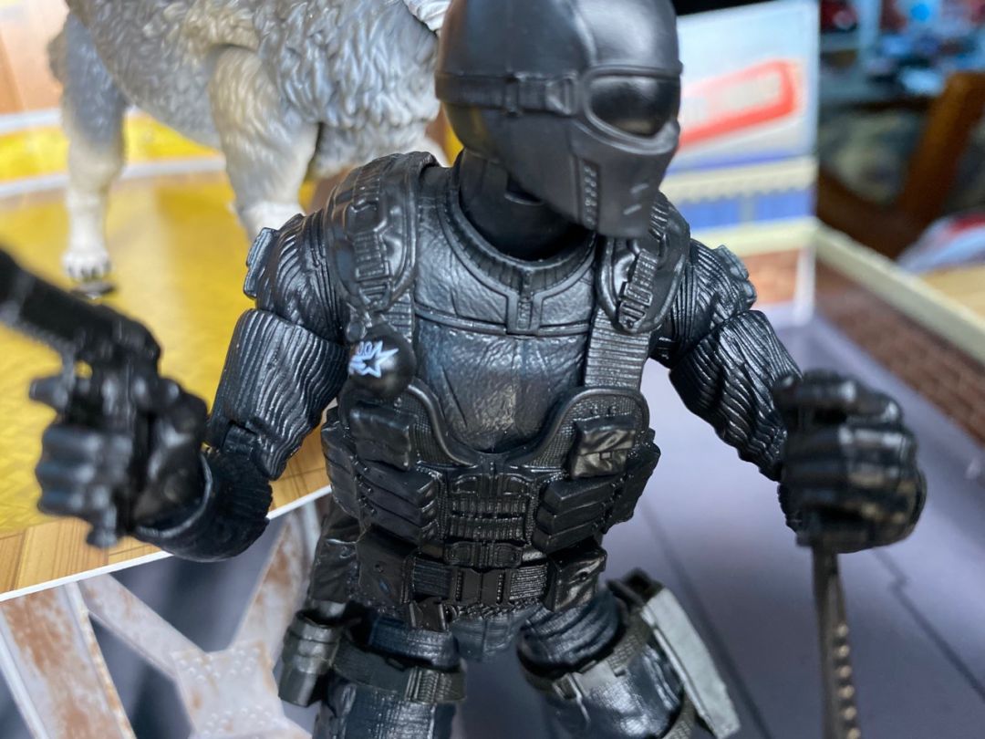 Snake Eyes & Timber - Image 13