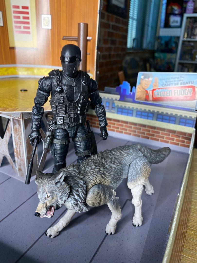 Snake Eyes & Timber - Image 16