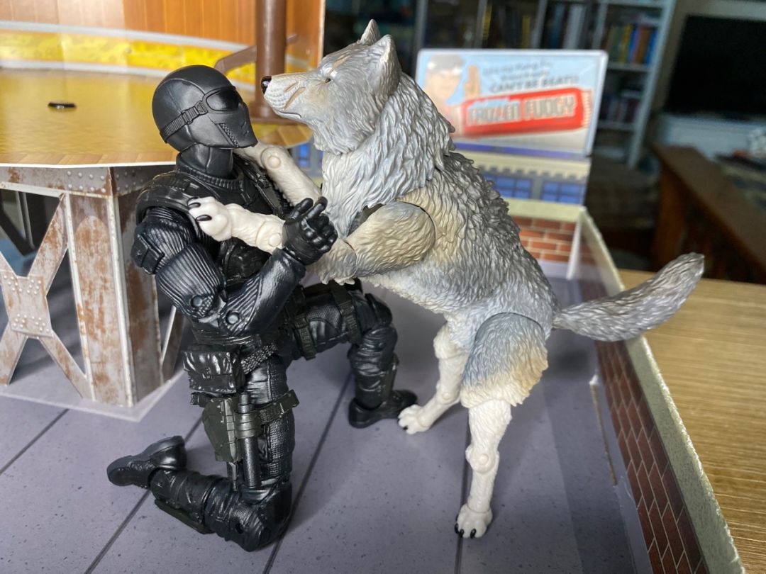 Snake Eyes & Timber - Image 17