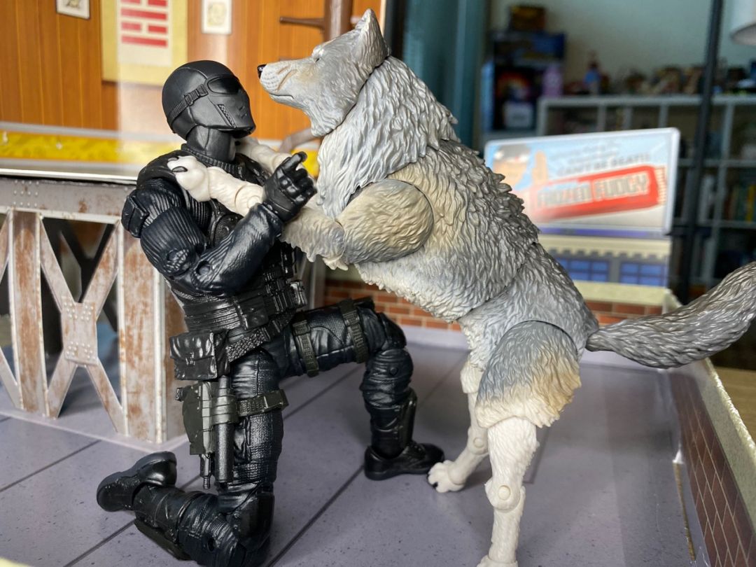 Snake Eyes & Timber - Image 18