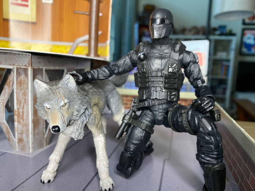Snake Eyes & Timber - Image 19
