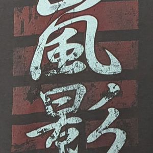 Arashikage T-shirt
