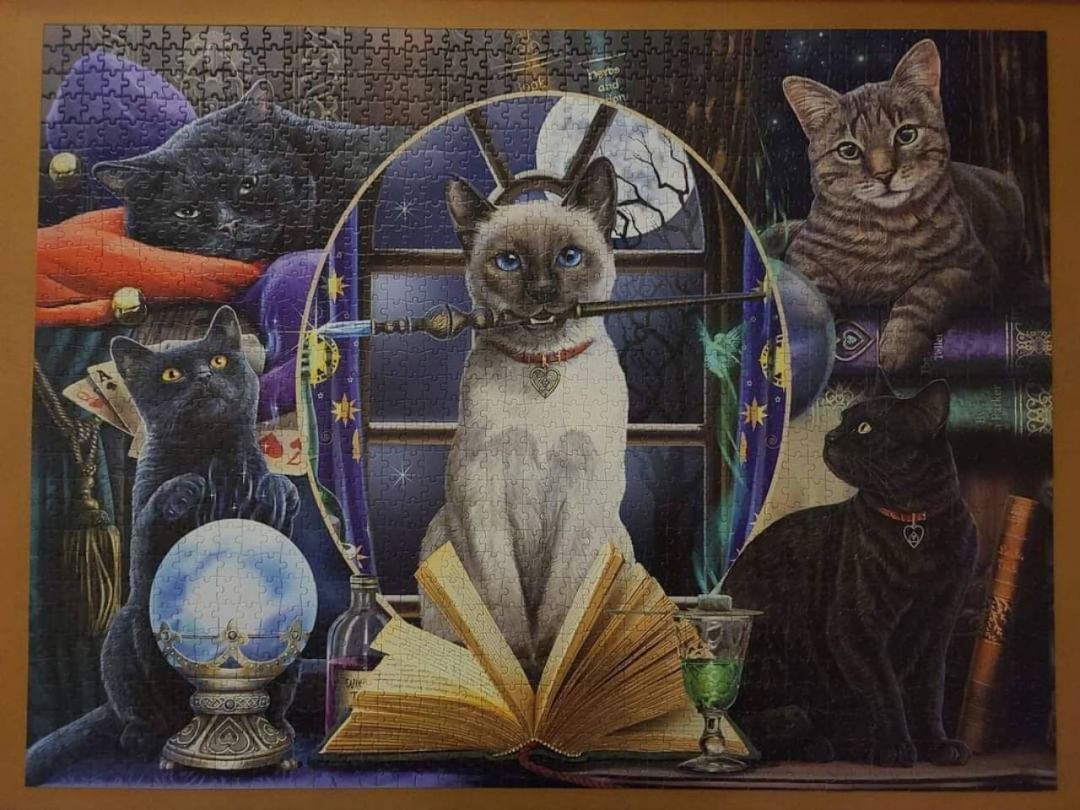 Magic Cat - Image 1