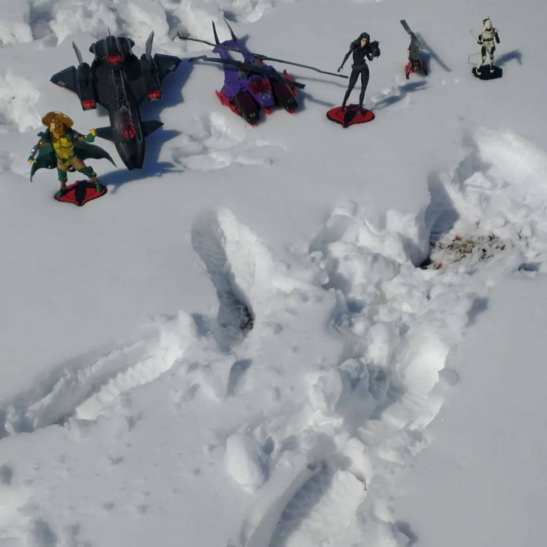 Cobra Air Force Preparation - Image 1