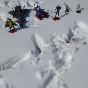 Cobra Air Force Preparation