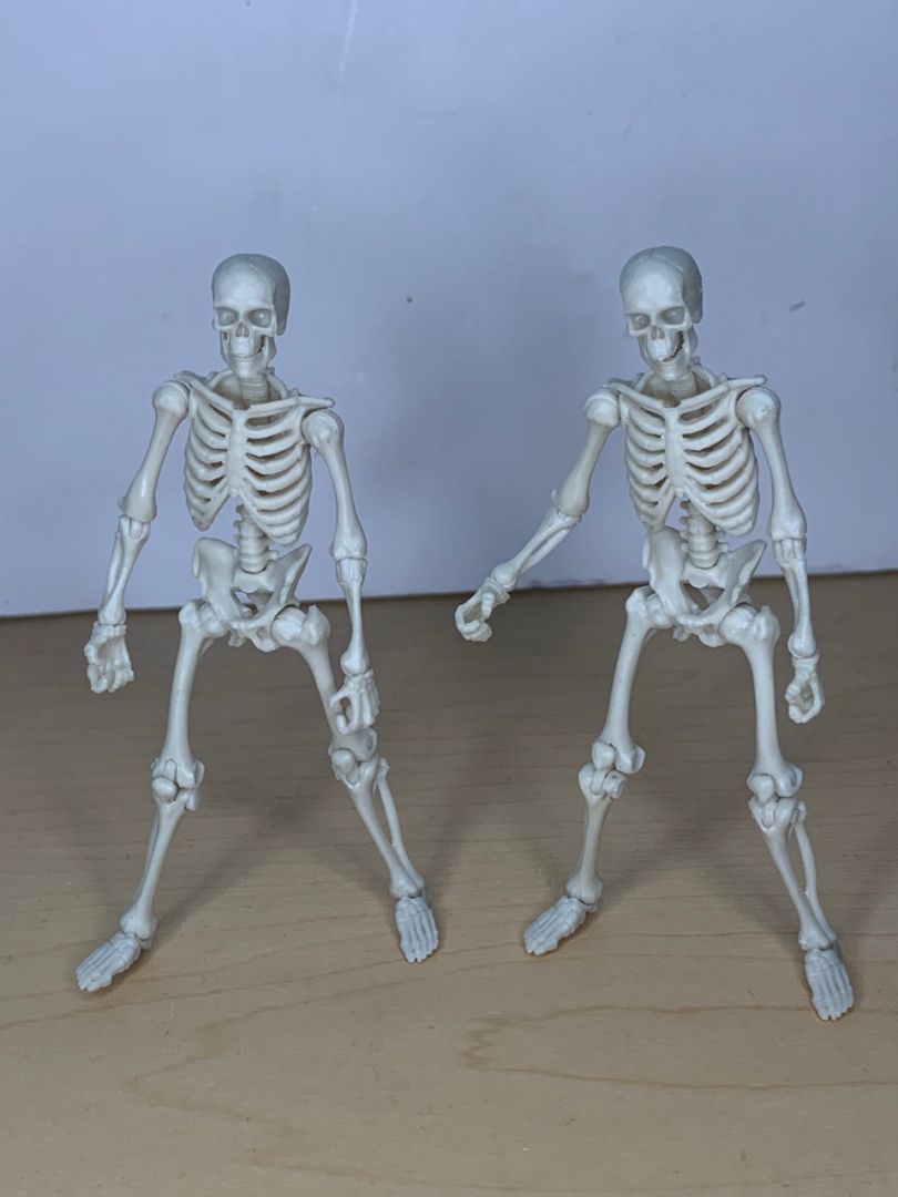 Skeleton (white) - Image 1