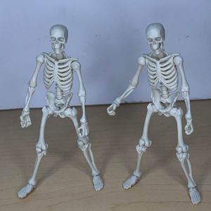 Skeleton (white)