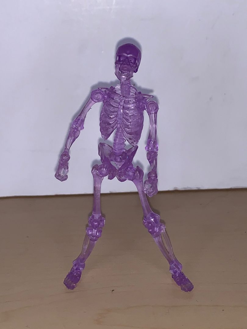 Skeleton (Trans Purple) - Image 1