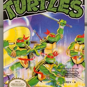 Teenager Mutant Ninja Turtles 