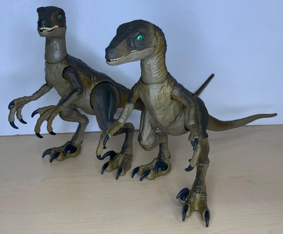 Velociraptor  - Image 1