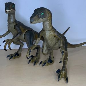 Velociraptor 