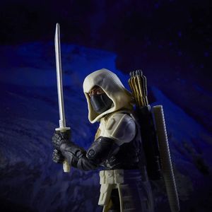 (Arctic) Ninja Force Storm Shadow