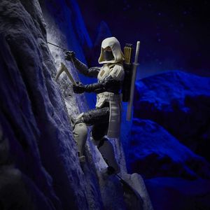 (Arctic) Ninja Force Storm Shadow