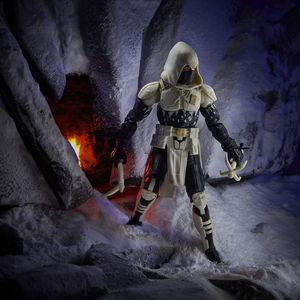 (Arctic) Ninja Force Storm Shadow