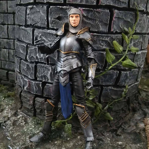 Vitruvian H.A.C.K.S. Female Knight of Accord - Image 2