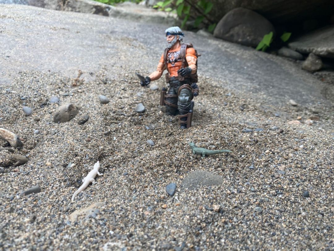 Tiger Force Outback - Image 12
