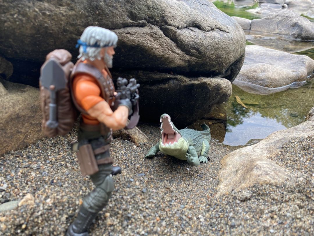 Tiger Force Outback - Image 21