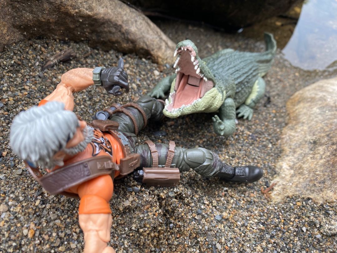 Tiger Force Outback - Image 22