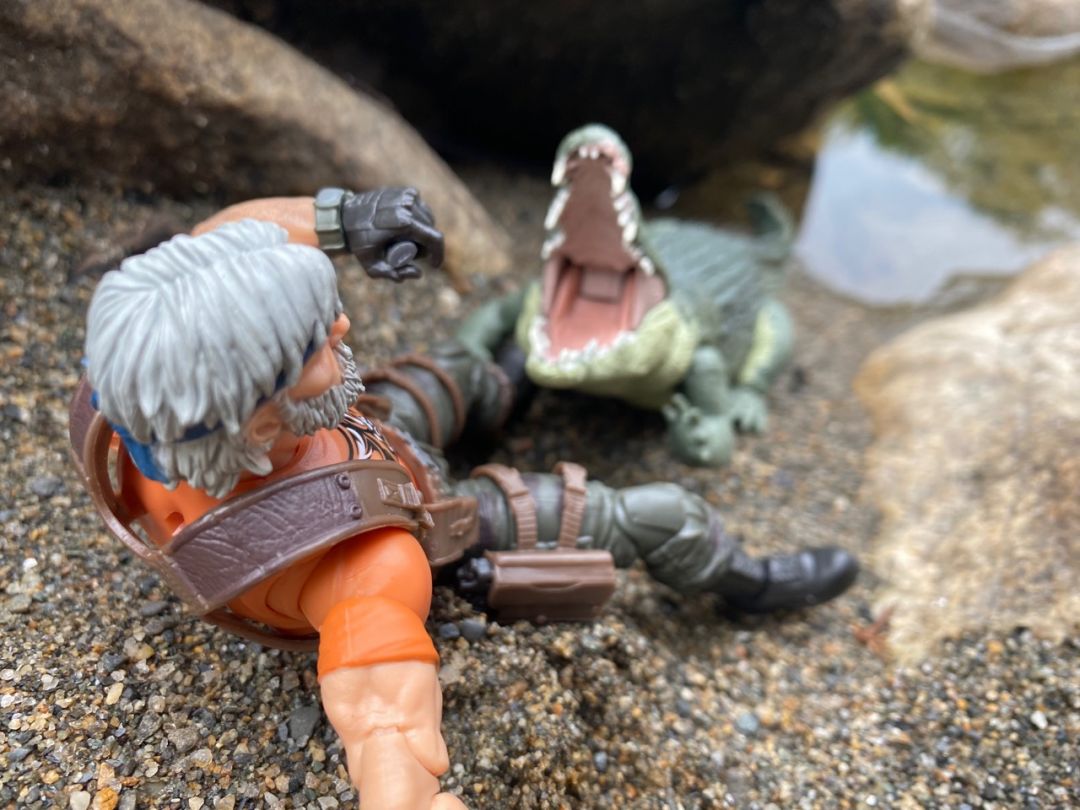 Tiger Force Outback - Image 23
