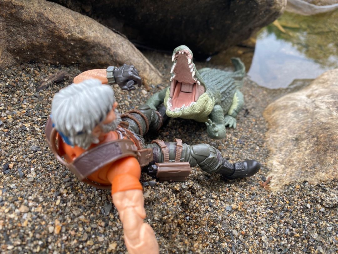 Tiger Force Outback - Image 24
