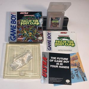 Teenage Mutant Ninja Turtles: Fall Of The Foot Clan