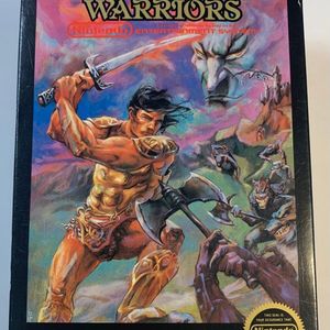 Wizards & Warriors