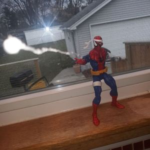 Webs